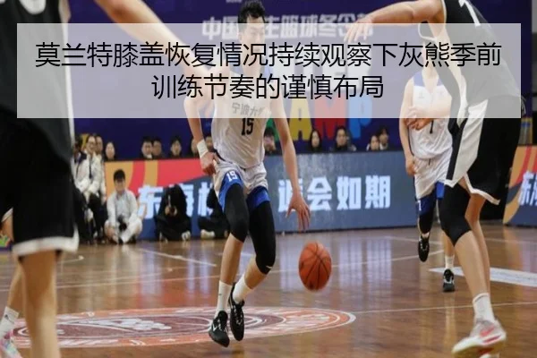 莫兰特膝盖恢复情况持续观察下灰熊季前训练节奏的谨慎布局