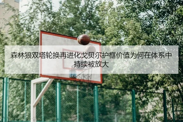 森林狼双塔轮换再进化戈贝尔护框价值为何在体系中持续被放大
