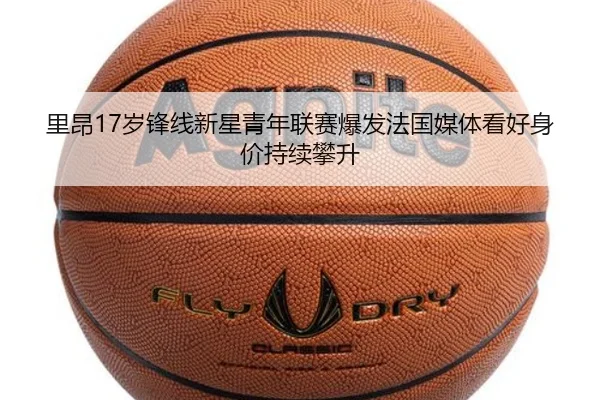 img_1784537143170_6_1_466.jpg